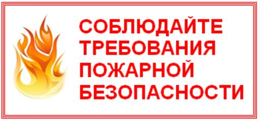 8899646553251 (1)