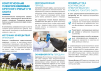 Памятка КОНТАГИОЗНАЯ ПЛЕВРОПНЕВМОНИЯ КРУПНОГО РОГАТОГО СКОТА