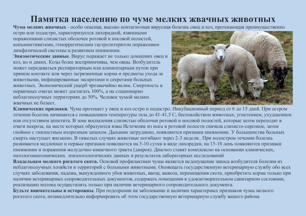 Памятка по чуме