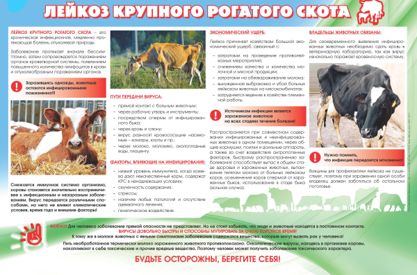 памятка