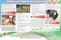 памятка