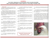 Грипп птиц