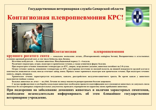 памятка по КРСТ